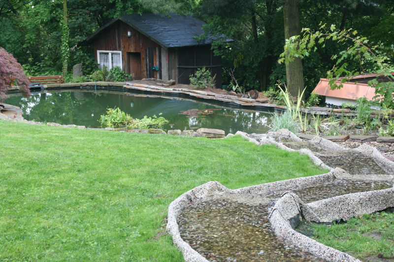 Teichrandbau richtig gemacht » Aqua Paradies Mehltheuer GmbH