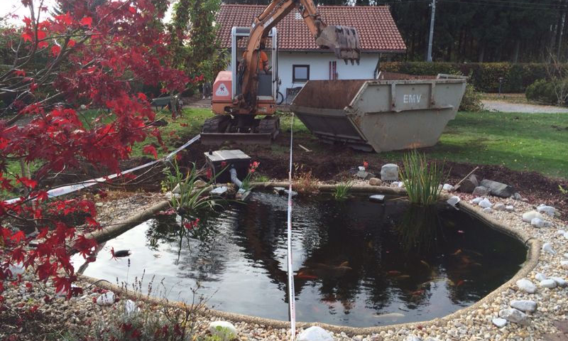 Schwimmteich mit Koi / 2014 » Aqua Paradies Mehltheuer GmbH