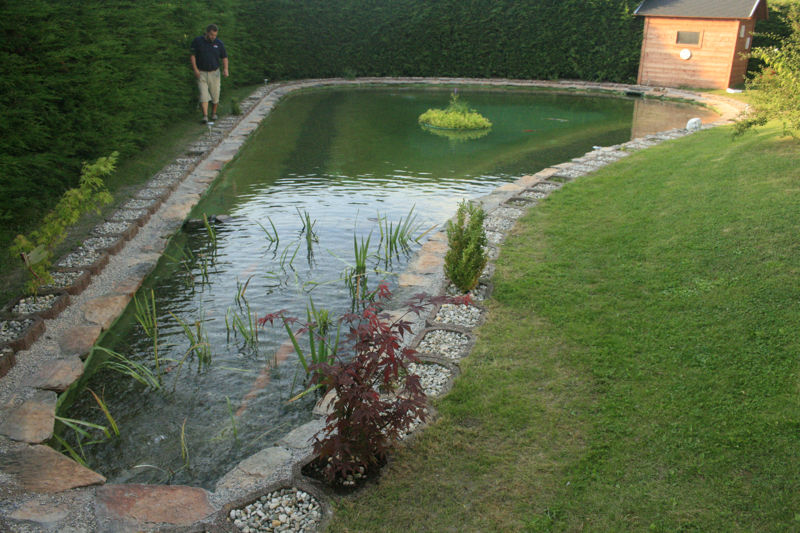 Teichrandbau richtig gemacht » Aqua Paradies Mehltheuer GmbH