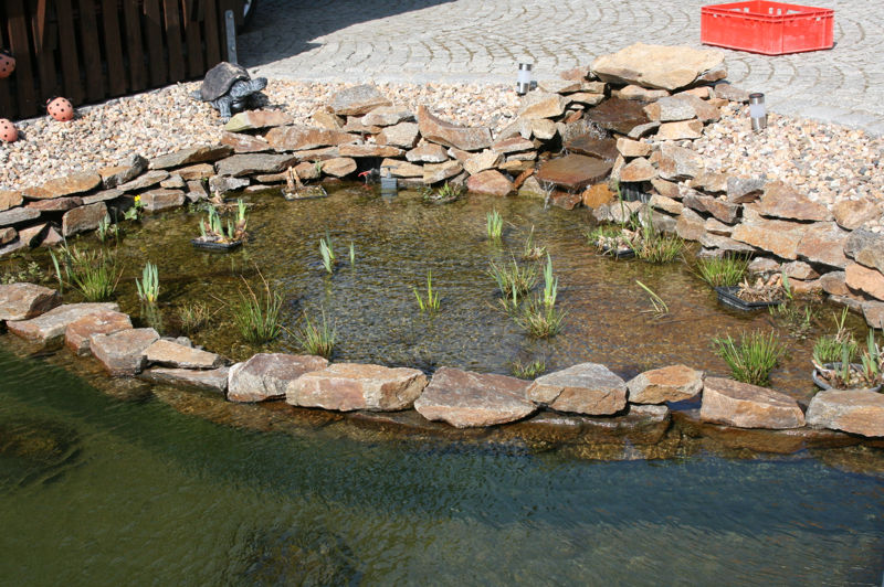 Teichrandbau richtig gemacht » Aqua Paradies Mehltheuer GmbH