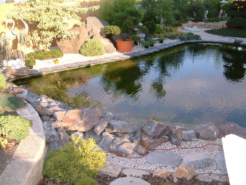 Teichrandbau richtig gemacht » Aqua Paradies Mehltheuer GmbH