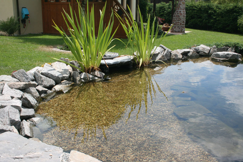 Teichrandbau richtig gemacht » Aqua Paradies Mehltheuer GmbH