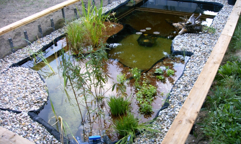 Schildkrötenteich / 2008 » Aqua Paradies Mehltheuer GmbH