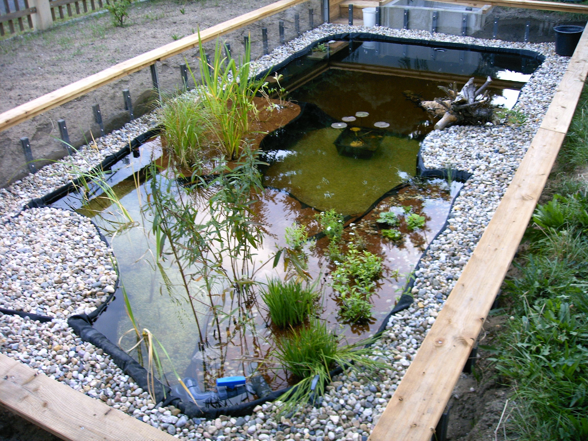 Schildkrötenteich / 2008 » Aqua Paradies Mehltheuer GmbH