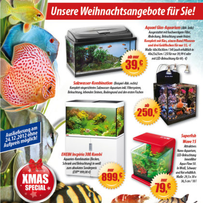 Unser Dankeschön zu Weihnachten für Sie!